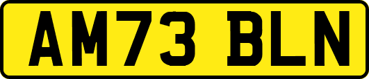 AM73BLN