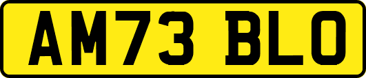 AM73BLO