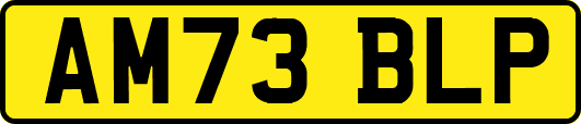 AM73BLP