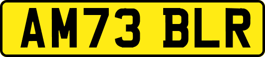 AM73BLR