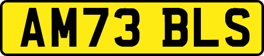 AM73BLS