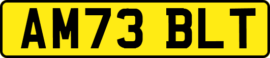 AM73BLT