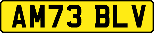 AM73BLV