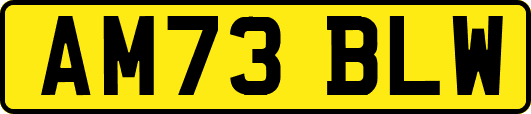 AM73BLW
