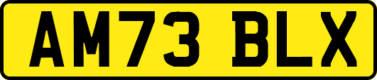 AM73BLX