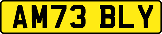 AM73BLY