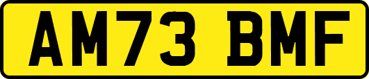 AM73BMF