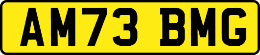 AM73BMG