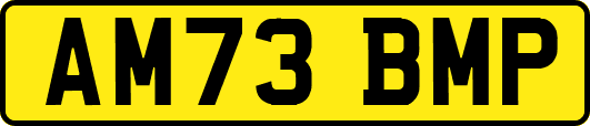 AM73BMP