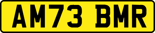 AM73BMR