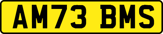 AM73BMS
