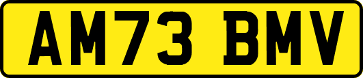 AM73BMV