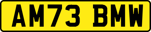 AM73BMW