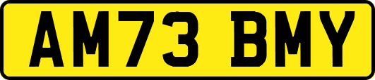 AM73BMY