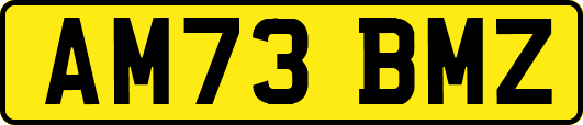 AM73BMZ