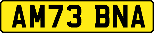 AM73BNA