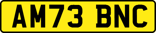 AM73BNC