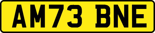 AM73BNE