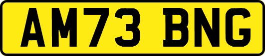 AM73BNG