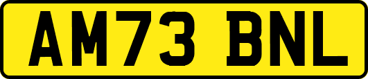 AM73BNL