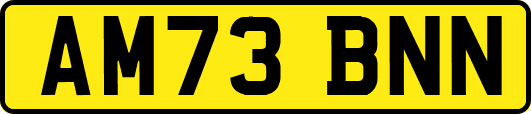 AM73BNN