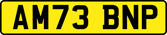 AM73BNP