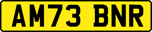 AM73BNR