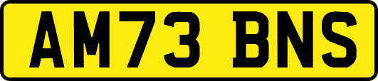 AM73BNS
