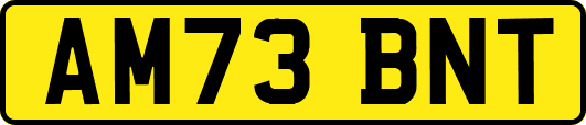 AM73BNT
