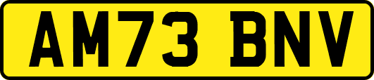 AM73BNV