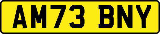 AM73BNY