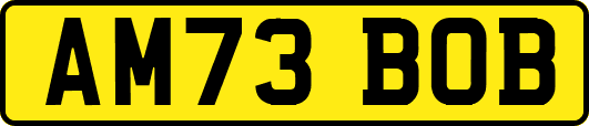 AM73BOB