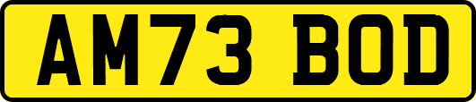 AM73BOD