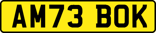 AM73BOK
