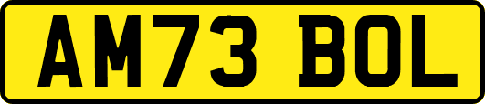 AM73BOL