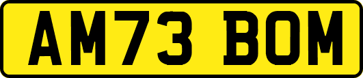 AM73BOM