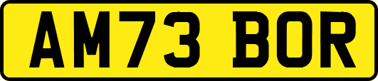 AM73BOR