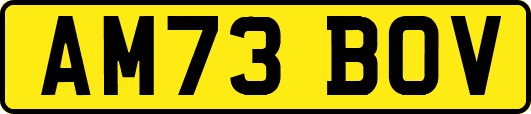 AM73BOV