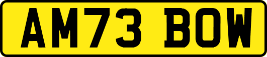 AM73BOW