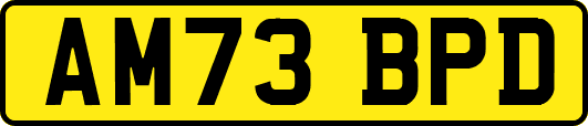 AM73BPD