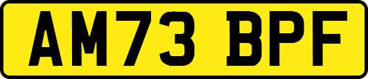 AM73BPF