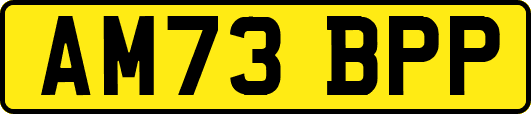 AM73BPP