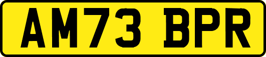AM73BPR