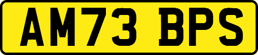 AM73BPS