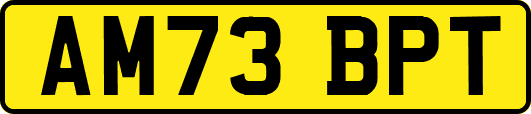 AM73BPT