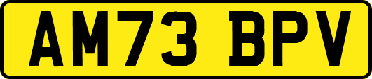 AM73BPV
