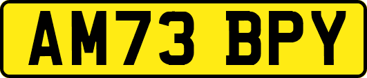 AM73BPY