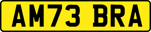 AM73BRA