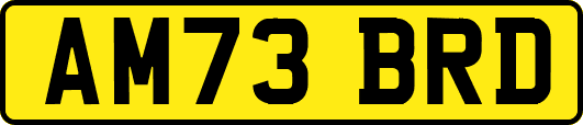 AM73BRD