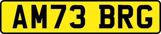 AM73BRG